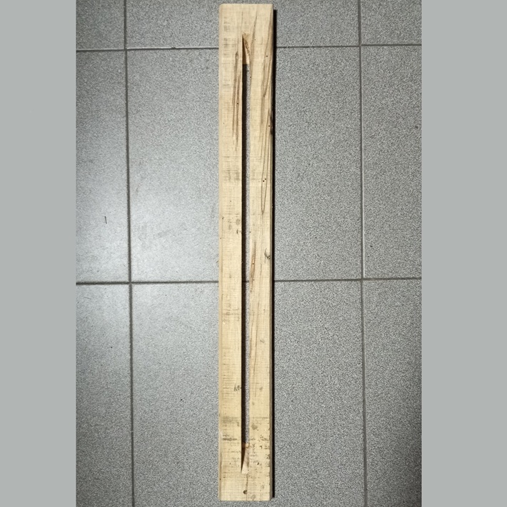 Guide banco sega cirolare Zanon